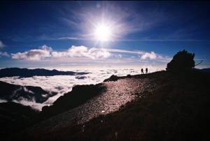 1daf2-11015779_10155980841820131_1352806370122764407_n