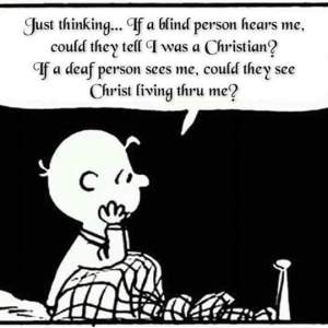 765ae-fb_img_1461768545320