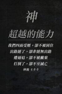 f21e4-10400060_10153081545888432_6305024796356776596_n