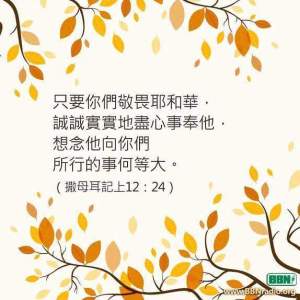 bbab5-fb_img_1460415720513