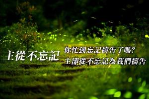 11207357_10153198150223432_529172209452122414_n