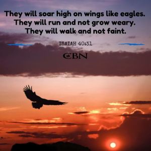 fb_img_1431652951121