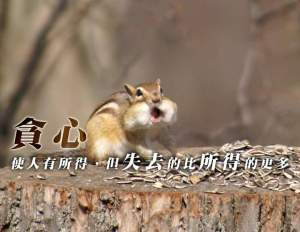 fb_img_1460884099689