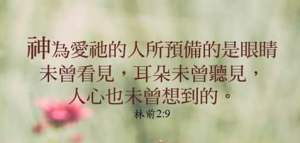 fb_img_14613191954181