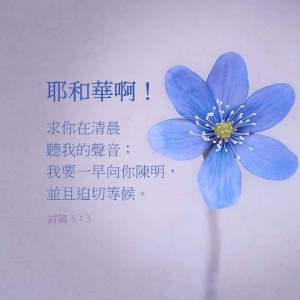 fb_img_1475450984952