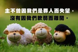 fb_img_1477474741554