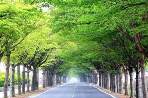 fb_img_1427467831955