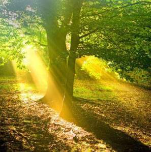 fb_img_1476862473907