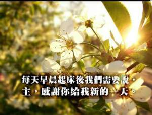 fb_img_1477441697652