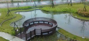 p_20161124_115451_p1