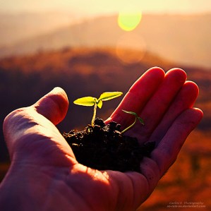 ab98ea7d034e65efbae589ff545d7f56