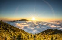 c1cc8d51d248b8fb641743d40f03f352