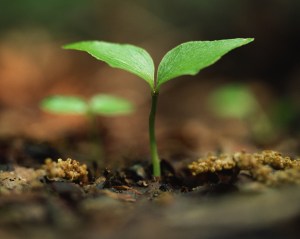 ukfd2wxvel4y099wbnarurk425fjfj