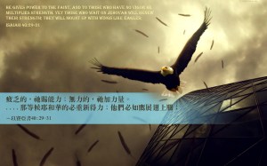 5d2fce7cfcdc68a4398a7a96273d3174