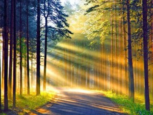 n8fZ-y0qTpaXGbpeqVhD0Q